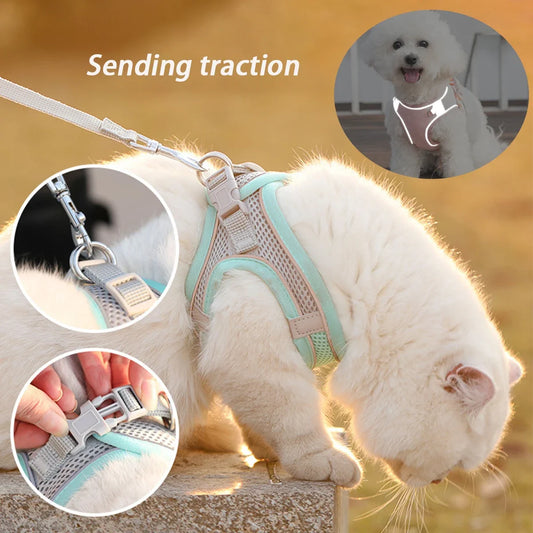 FrenchieFlex No-Pull Vest & Rope Lead