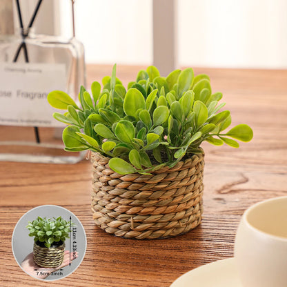 Nido Verde – Planta decorativa de césped artificial en maceta tejida a mano 
