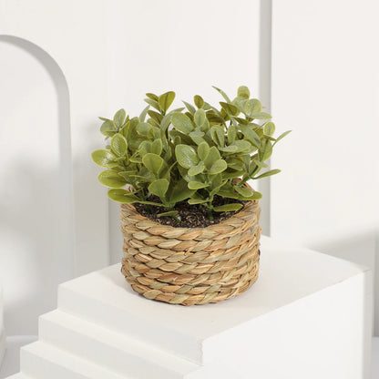 Nido Verde – Planta decorativa de césped artificial en maceta tejida a mano 